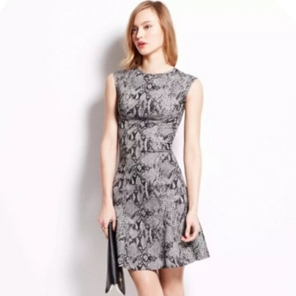 Ann Taylor Fit & Flare Dress
